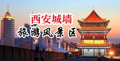欧美日黑人操逼影视网站中国陕西-西安城墙旅游风景区